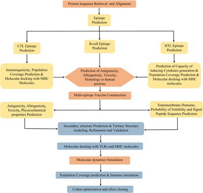 Development of multi-epitope vaccines against the monkeypox virus based on envelope proteins using immunoinformatics approaches